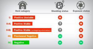 Farm classification of swine farms according to PRRS virus shedding and exposure status.