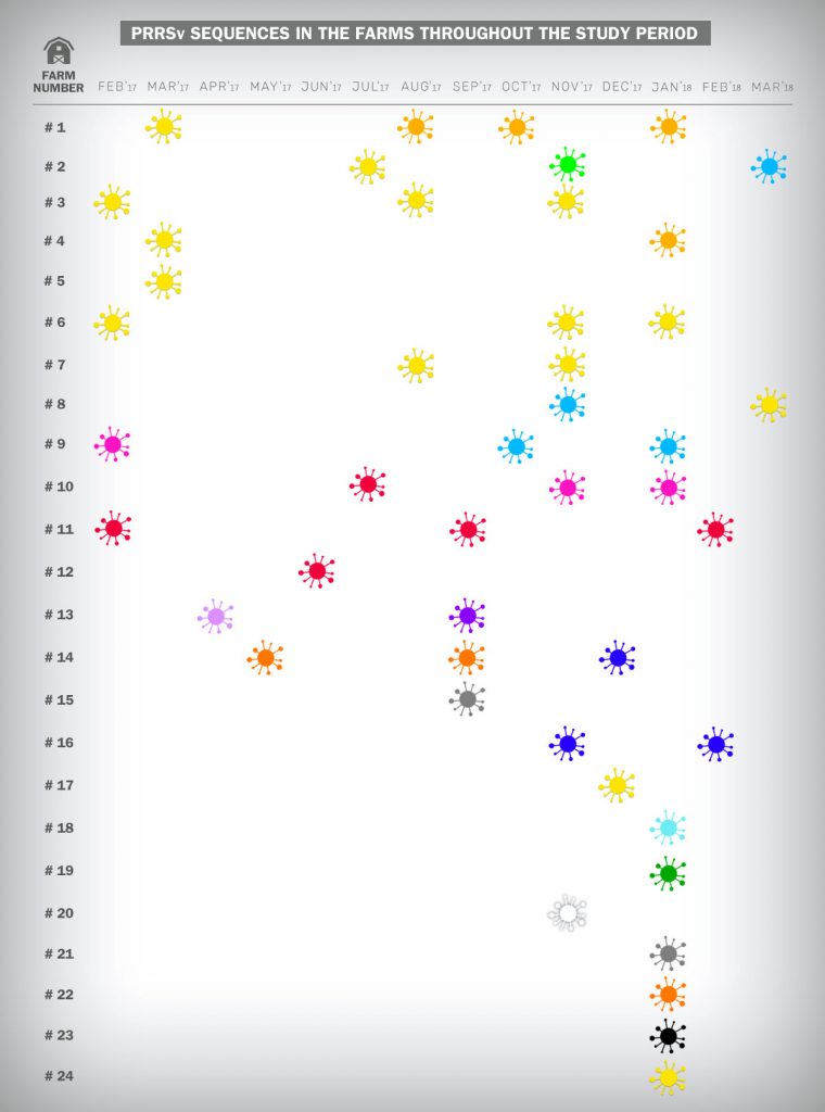 Epidemiologic study of the PRRSv strains