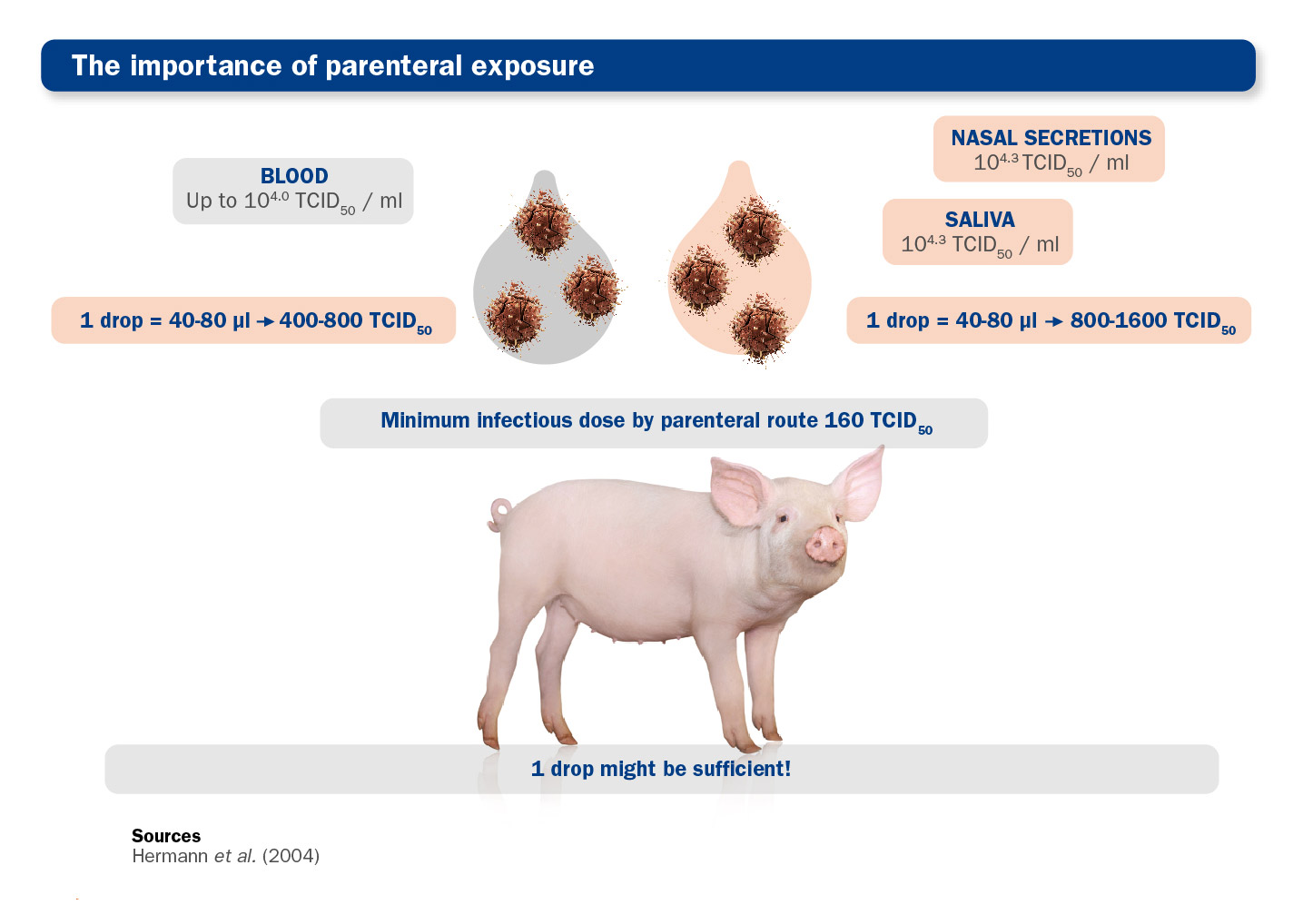 PRRS virus transmission: Parental exposure
