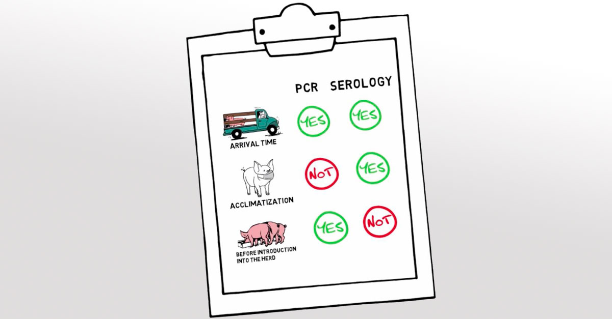 PRRS monitoring recommendations