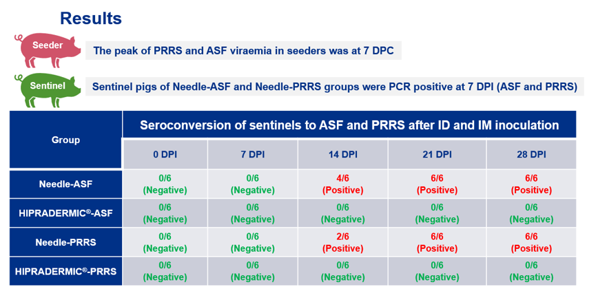 asf and prrs virus transmission