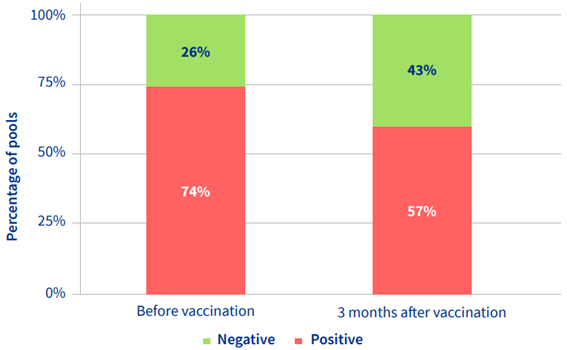 Evolution of PRRS positivity: reduce PRRS infection