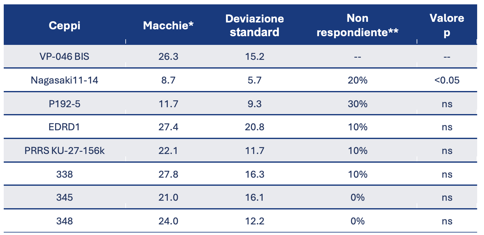 Risultati del test ELISPOT